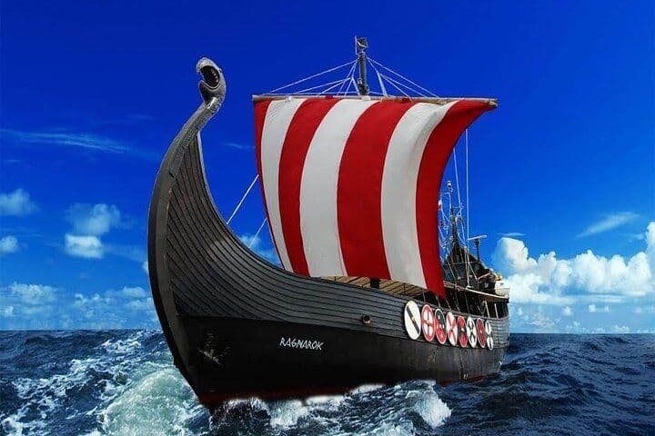 2h Viking Cruise Whales & Dolphins Watching