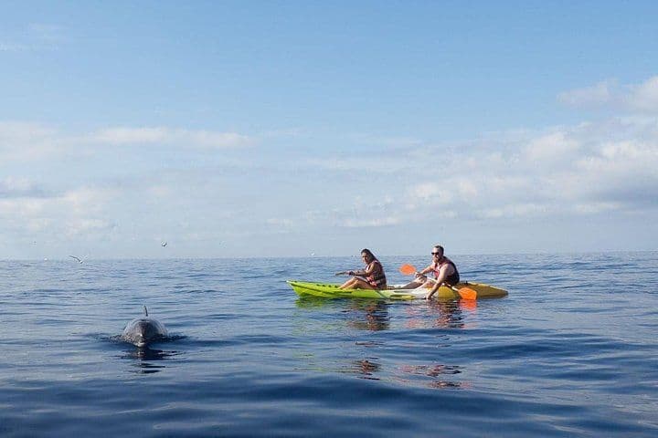 Kayaking, Snorkeling & Swimming
