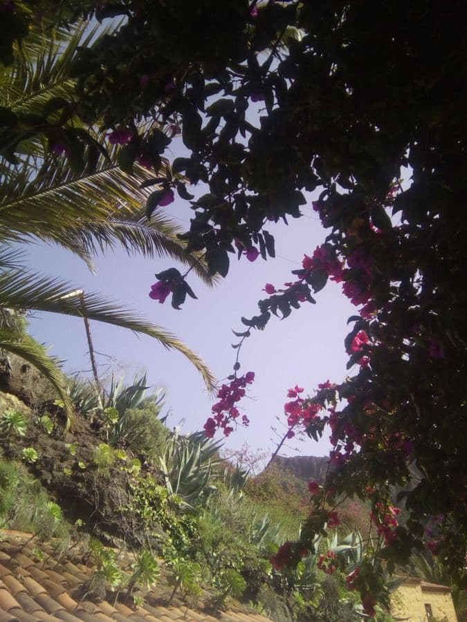 Tenerife Highlights Full-Day Tour