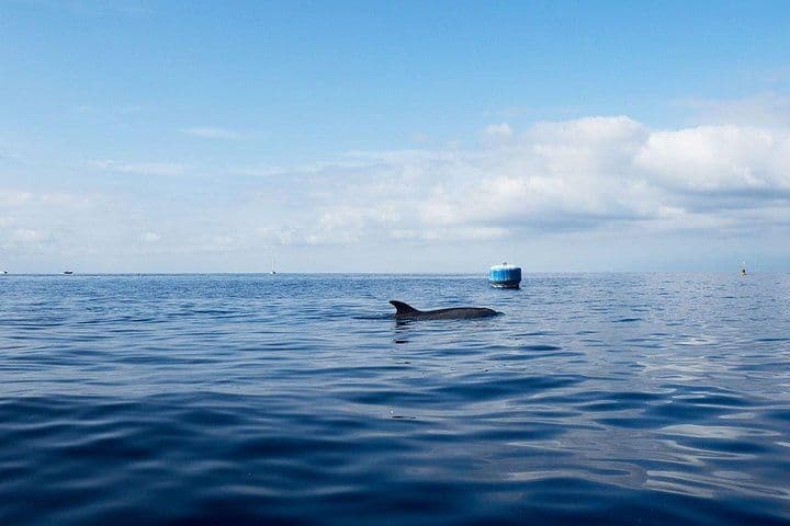 Kayaking, Snorkeling & Swimming