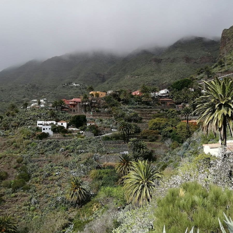 Teide National Park, Mount Teide & Masca: Guided Tour