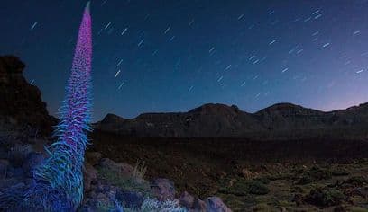 Teide under the stars: Stargazing, Dinner and Hotel Pick up