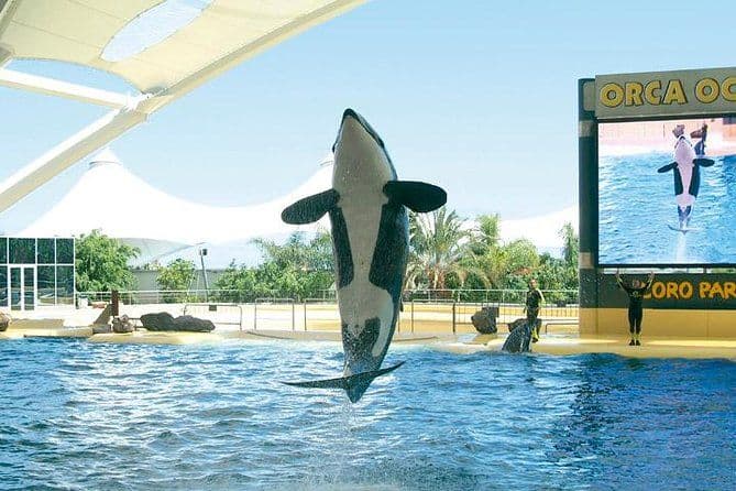 Twin ticket (Loro Parque + Siam Park) with transfer to Loro Park