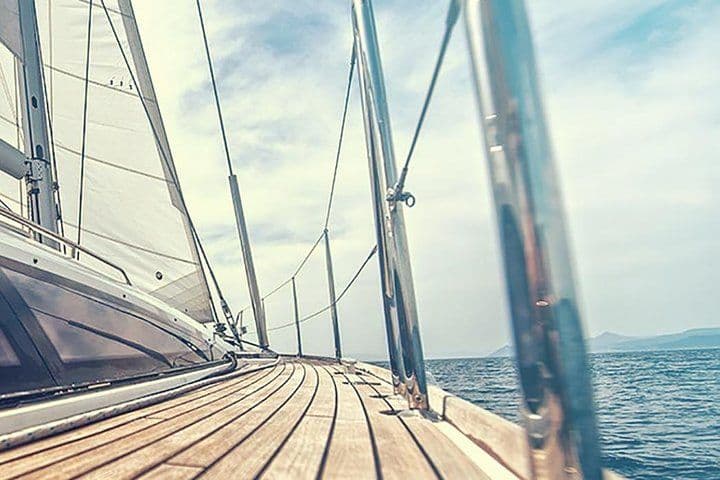 Whale and Dolphin Watching Yacht Trip in Puerto Colón