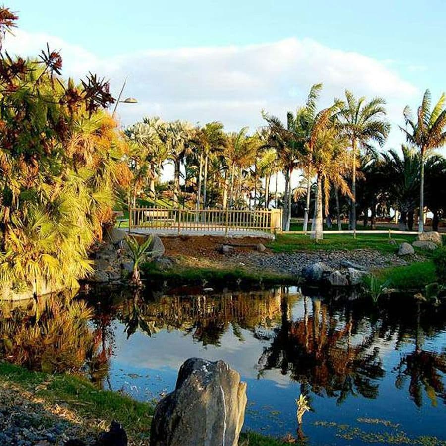 Palmetum of Santa Cruz de Tenerife: Entry Ticket