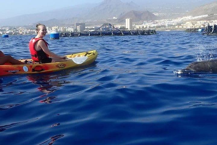 Kayaking, Snorkeling & Swimming