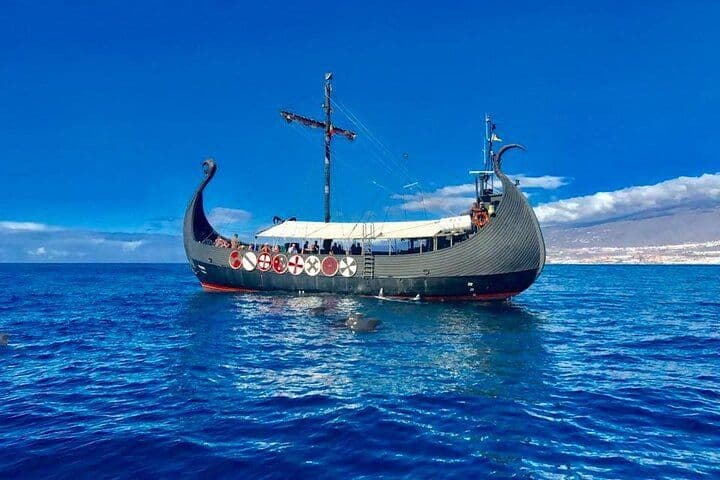2h Viking Cruise Whales & Dolphins Watching