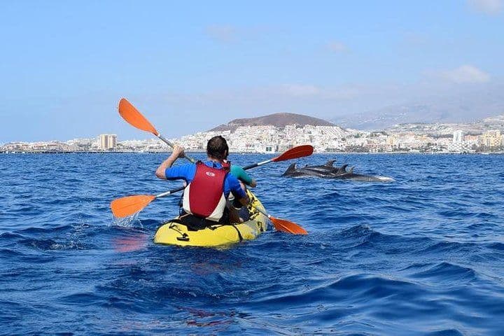 Kayaking, Snorkeling & Swimming