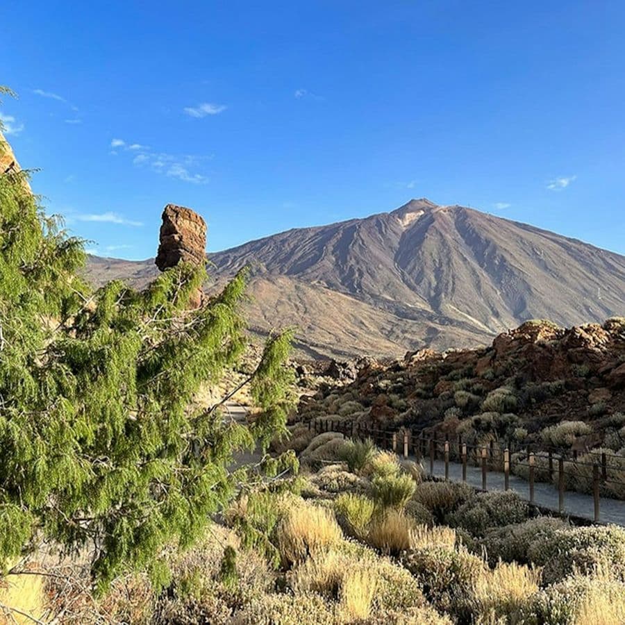 Teide National Park, Mount Teide & Masca: Guided Tour