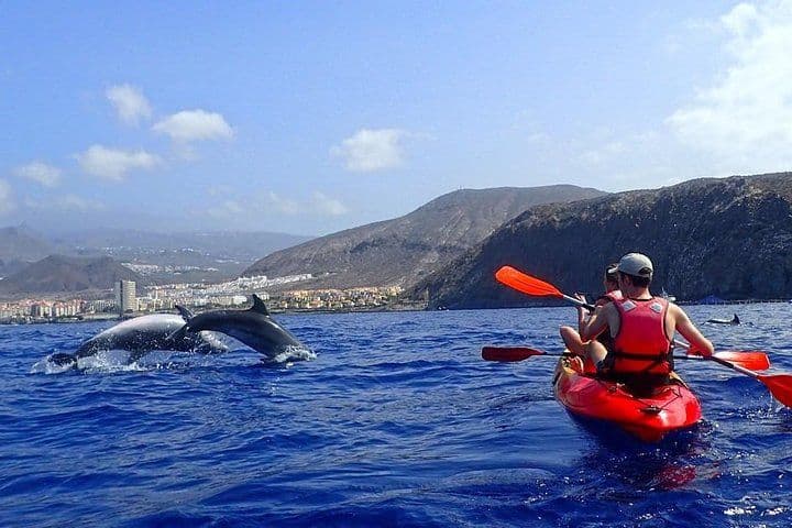 Kayaking, Snorkeling & Swimming