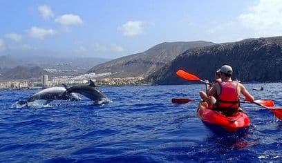 Kayaking, Snorkeling & Swimming
