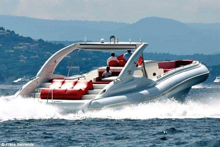 Luxury Opera 60 Whale & Dolphin Watching Experience