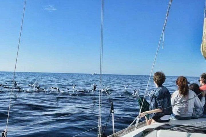 Premium Yacht Private Charter
