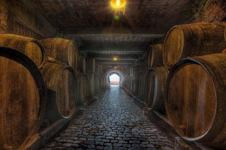 Tenerife Gastronomy Tour with Two Winery Visits and 4-Course Lunch