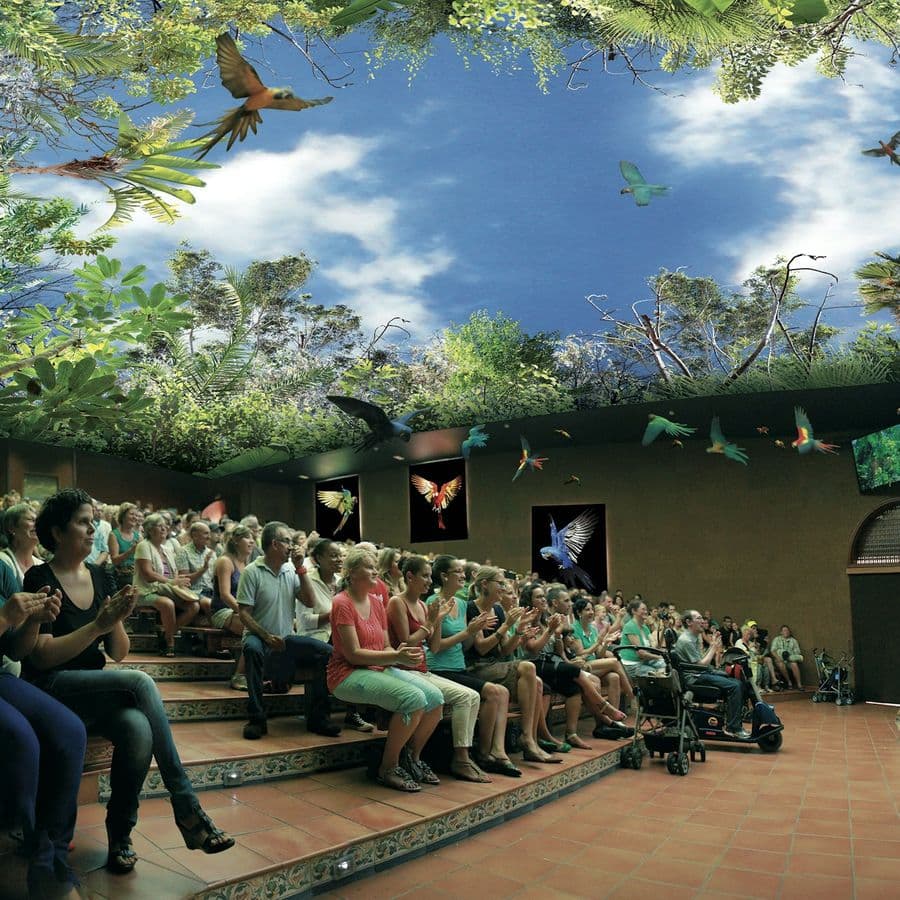 Loro Parque: Entry Ticket