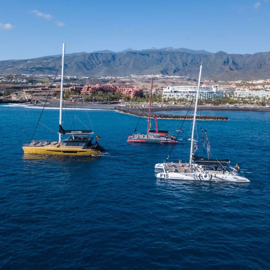 Whale Watching Catamaran in Costa Adeje