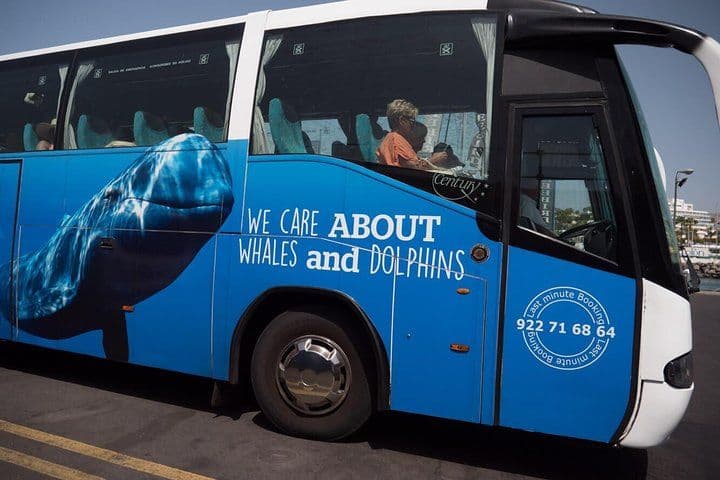 Whale Watching Catamaran to Los Gigantes & Masca