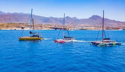 Whale Watching Catamaran in Costa Adeje