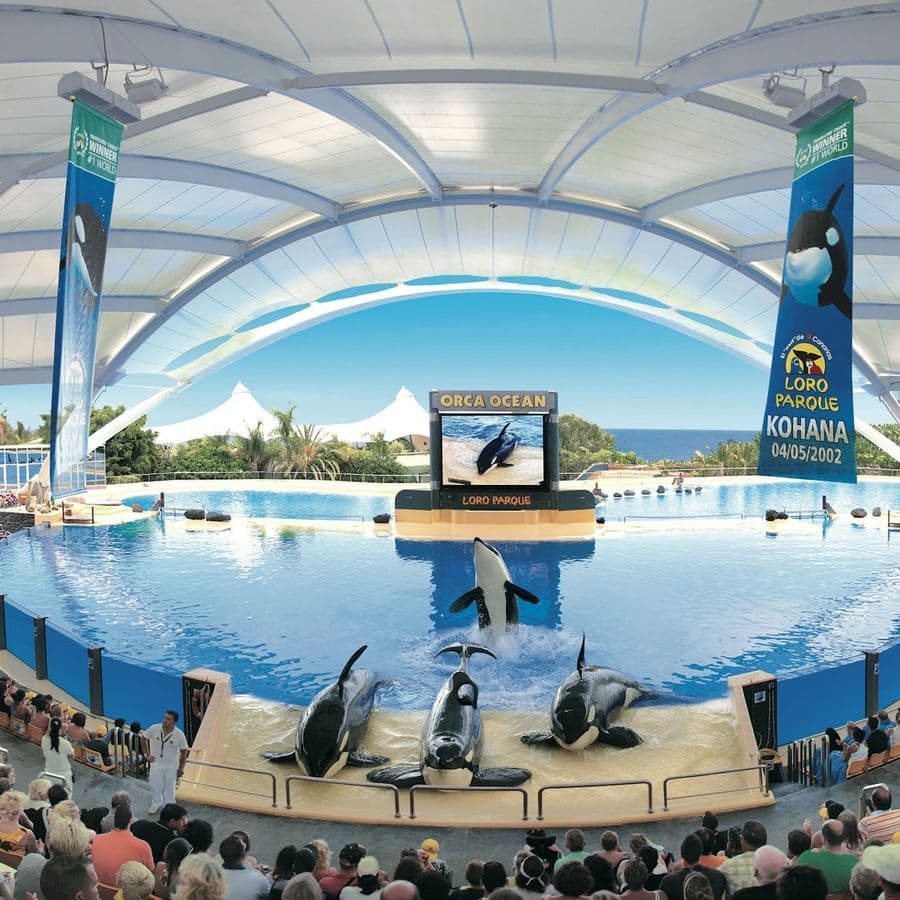 Loro Parque: Entry Ticket