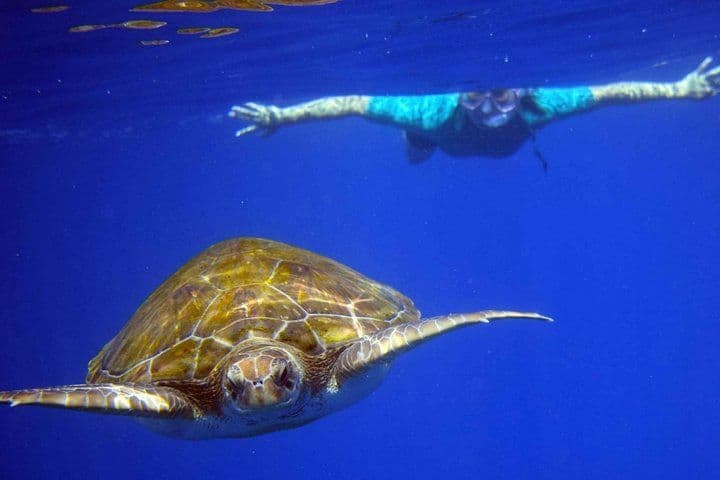 Kayaking, Snorkeling & Swimming