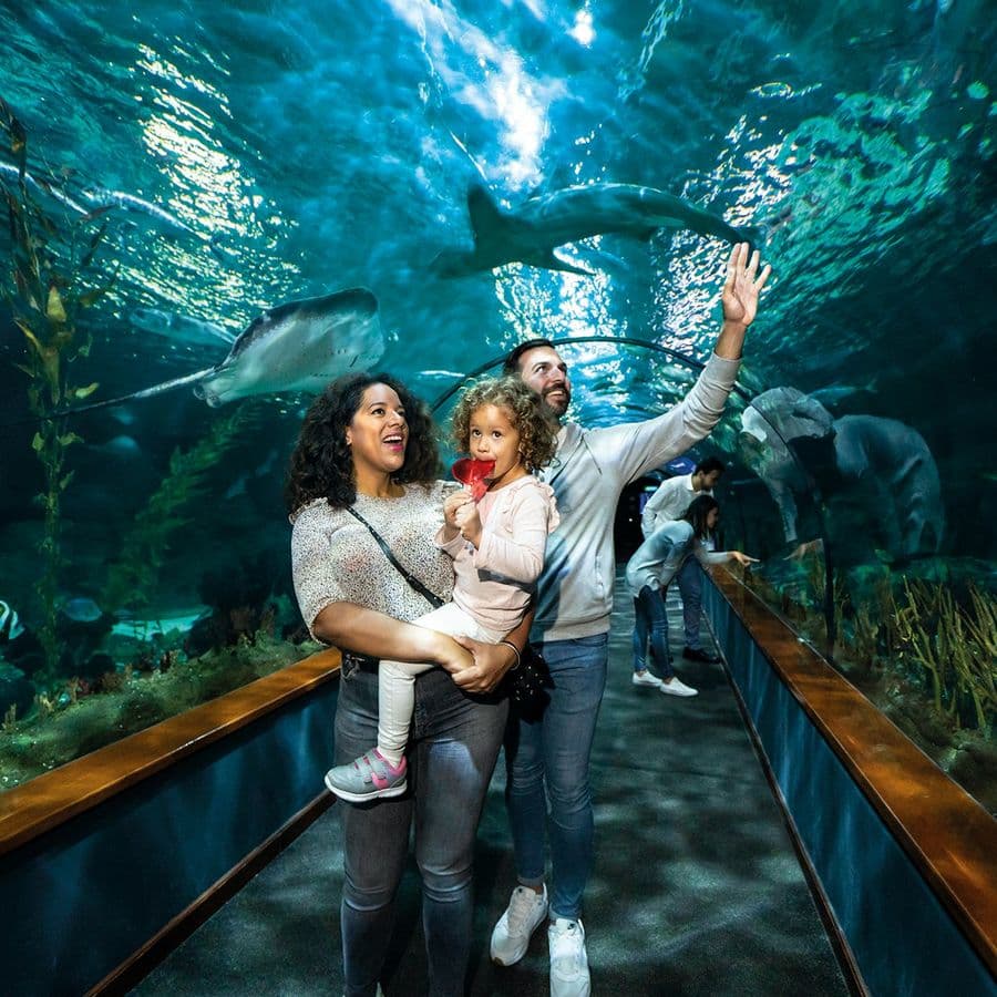 Loro Parque: Entry Ticket