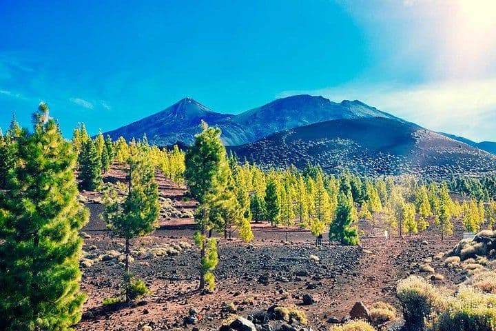 Teide National Park Tour