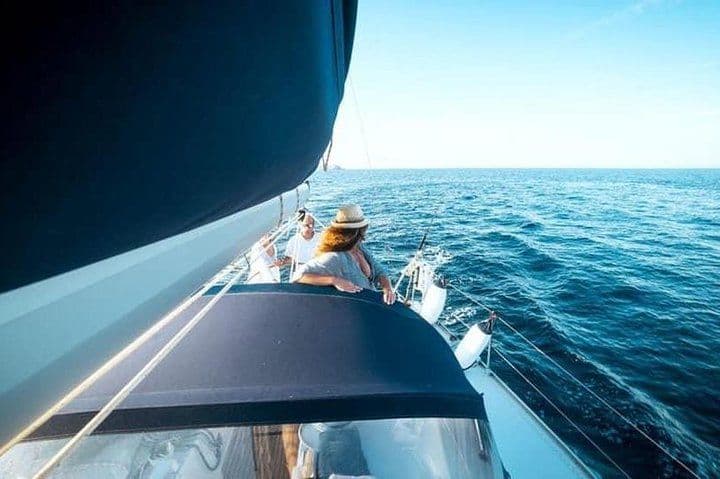 Whale and Dolphin Watching Yacht Trip in Puerto Colón