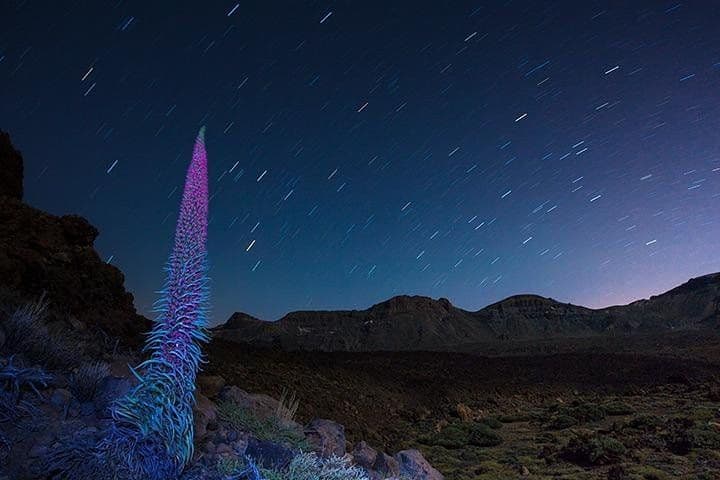 Teide under the stars: Stargazing, Dinner and Hotel Pick up