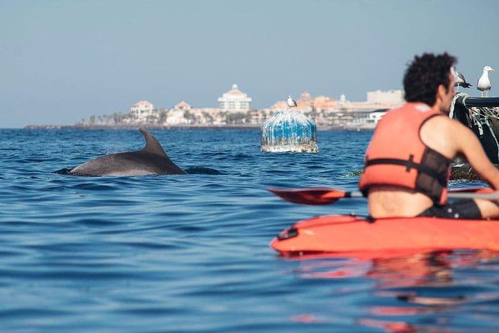 Kayaking, Snorkeling & Swimming
