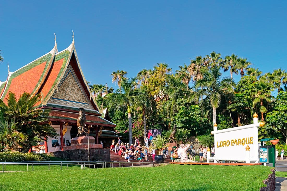 Entrance to Loro Park with transfer