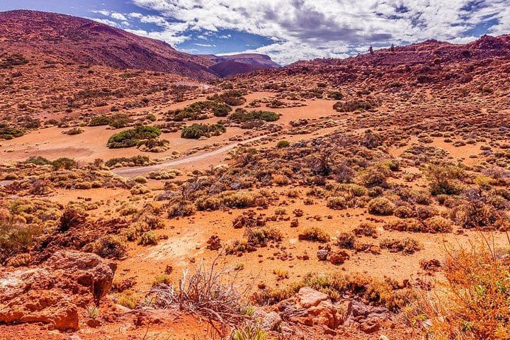 Teide National Park Half Day Tour with Hotel Pick up