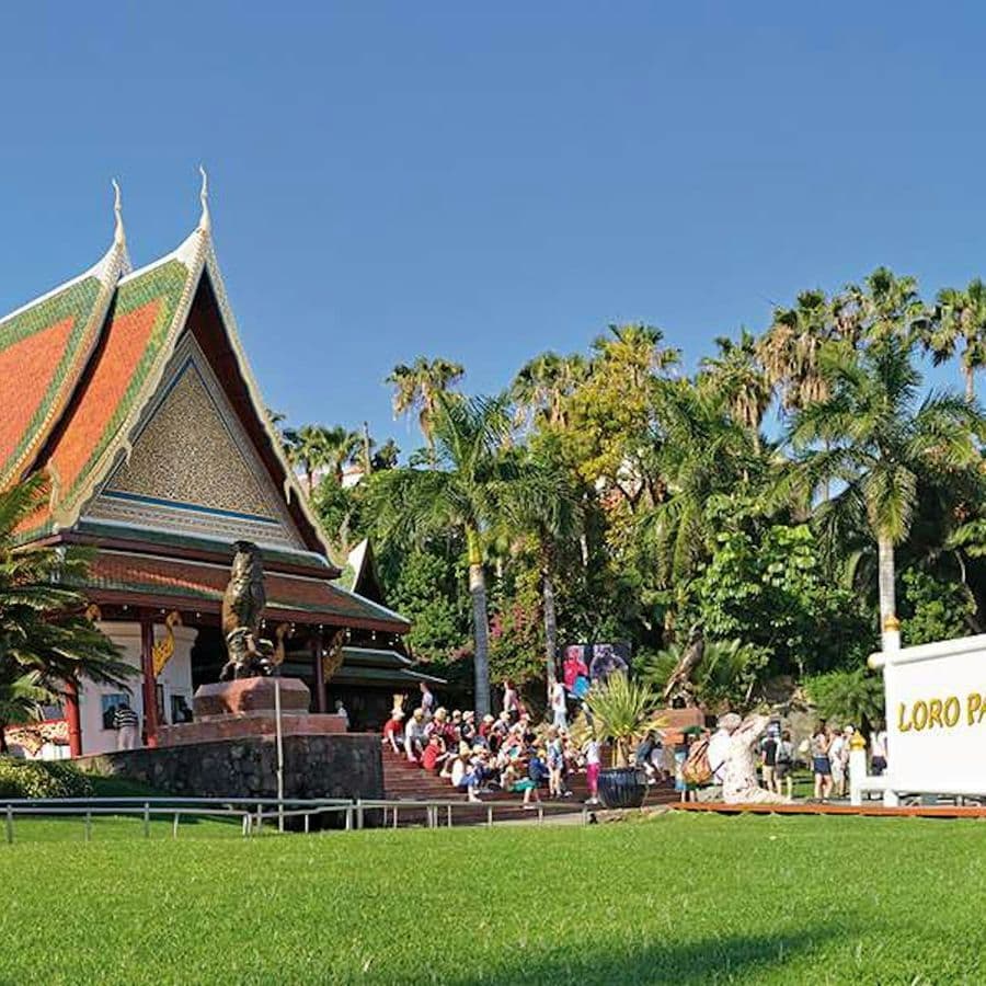 Loro Parque: Entry Ticket + Transport