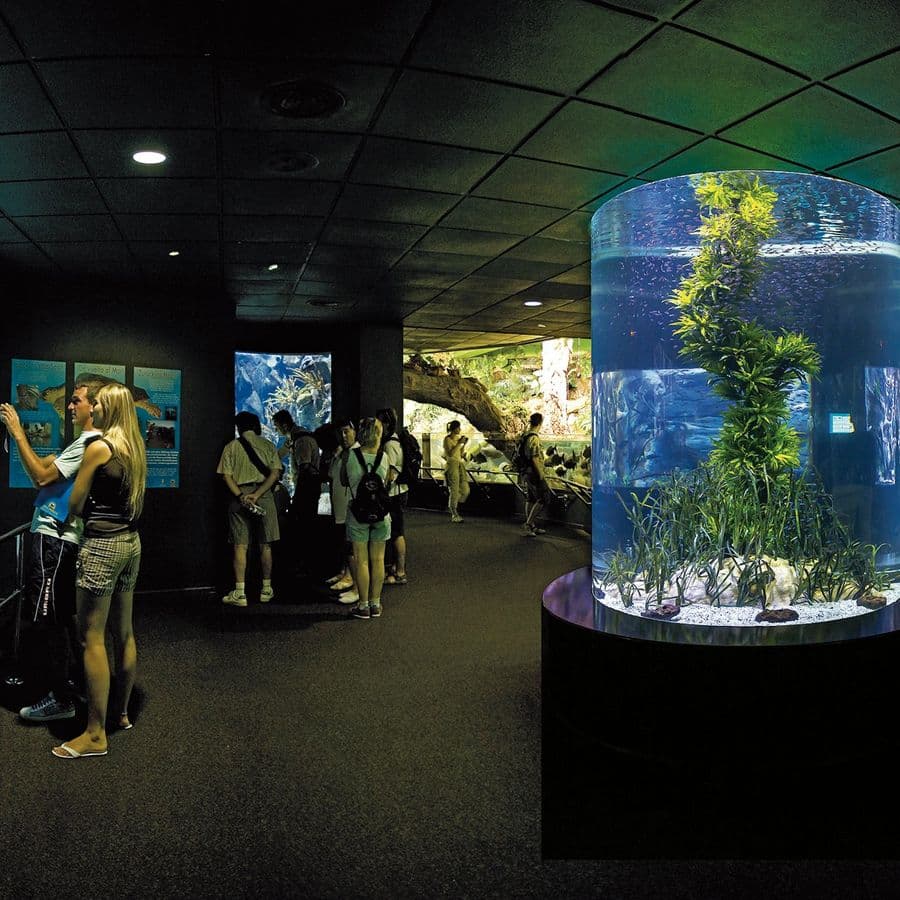 Loro Parque: Entry Ticket