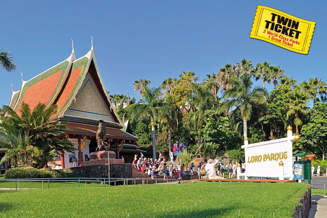 Twin ticket (Loro Parque + Siam Park) with transfer to Loro Park