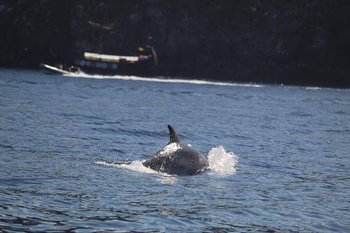 2 Hour Jet Ski Safari