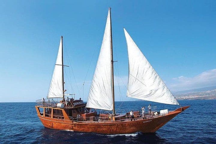 Whale & Dolphin Watching Experience + Los Gigantes And Masca