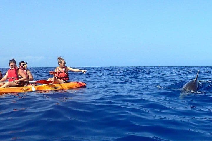 Kayaking, Snorkeling & Swimming