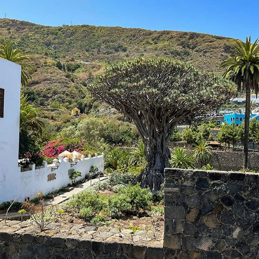 Teide National Park, Mount Teide & Masca: Guided Tour