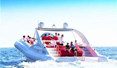 Luxury Opera 60 Whale & Dolphin Watching Experience