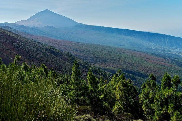 Tenerife Island Tour