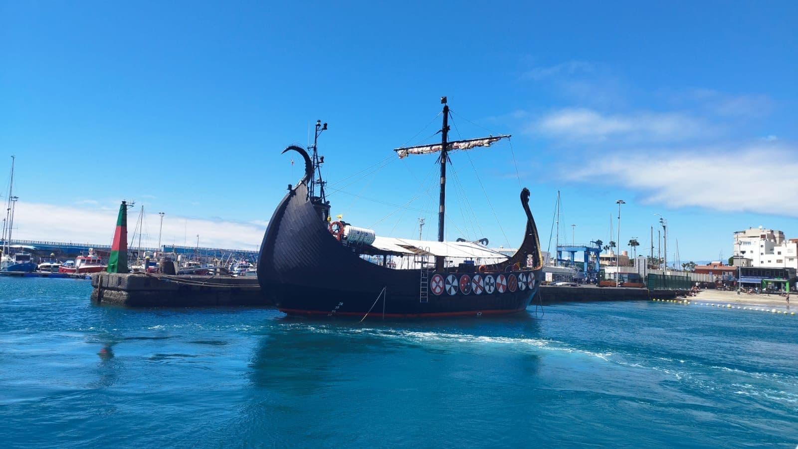 2h Viking Cruise Whales & Dolphins Watching