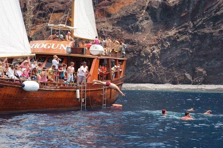 Whale & Dolphin Watching Experience + Los Gigantes And Masca