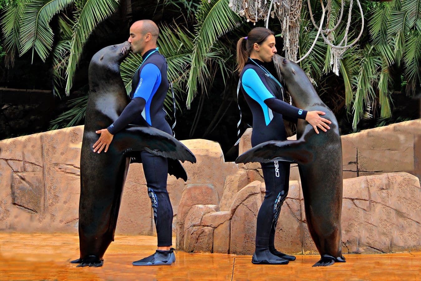 Skip the Line: Jungle Park Tenerife Entrance Ticket