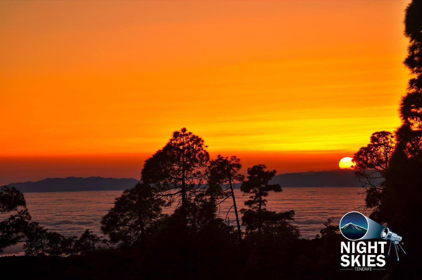 Teide National Park Sunset & Stargazing Coach Tour with Hotel Pickup - Optional Dinner