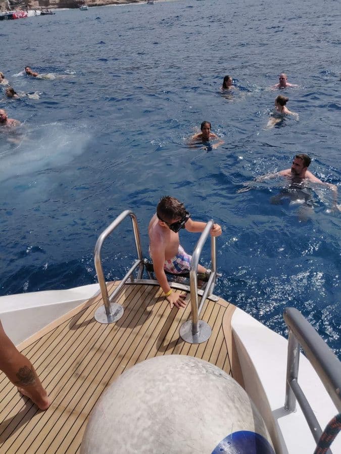 Whale Watching Catamaran in Costa Adeje