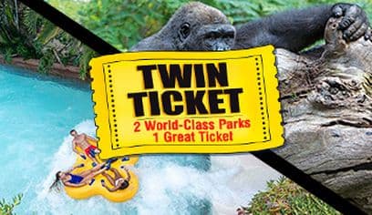 Twin ticket (Loro Parque + Siam Park) with transfer to Loro Park