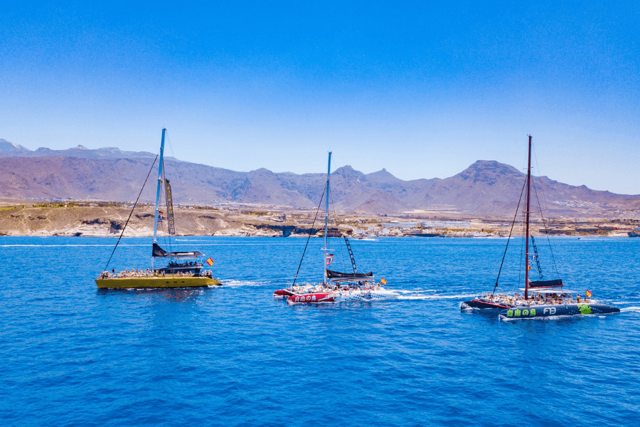 Whale Watching Catamaran to Los Gigantes & Masca
