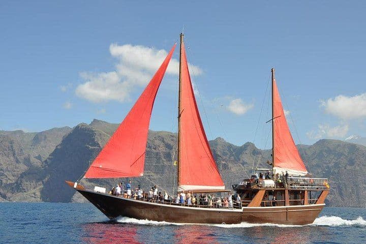 Whale & Dolphin Watching Experience + Los Gigantes And Masca