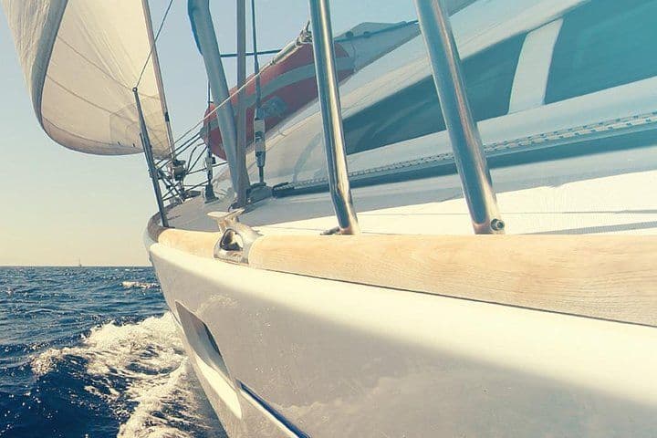 Whale and Dolphin Watching Yacht Trip in Puerto Colón