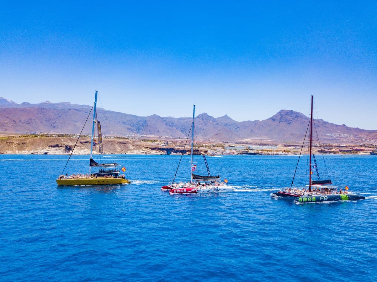 Whale Watching Catamaran in Costa Adeje